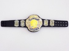 WWE MATTEL ELITE ECW WORLD