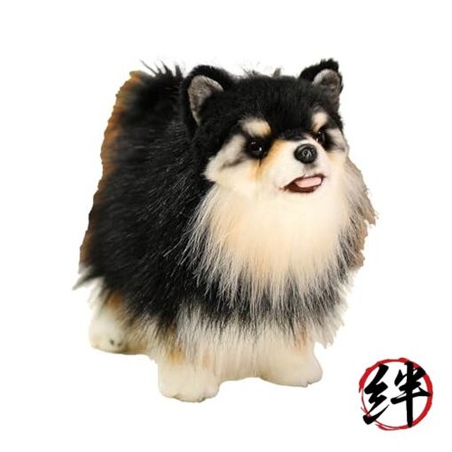Bichon frise husky animal - animal, shih