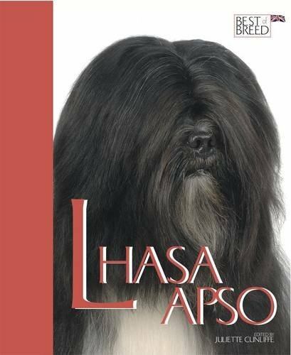 Lhasa apso best of - lhasa,