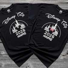 Personalized Disney Trip 2025 T Shirt, Costume Name Shirt, Disney T Shirt, D42