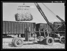 Photo:Clewiston Florida 1939