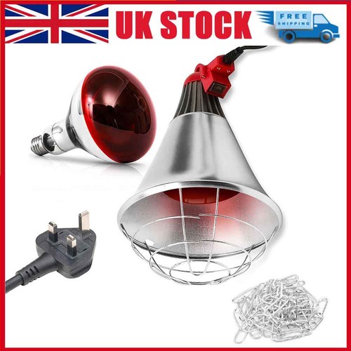 Infrared heat lamp poultry - lamp,