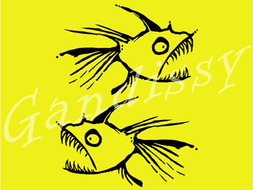 2no large hot tuna - 2no,