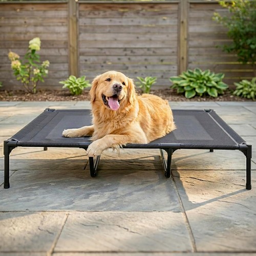 Elevated dog bed for - elevated,