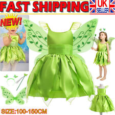 Girls Fairy Pixie Princess