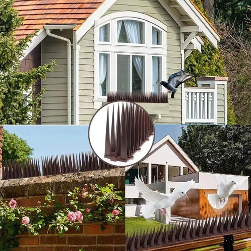 Bird pigeon deterrent - bird,