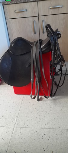 Equestrian