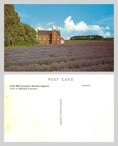 Vintage postcard caley mill - vintage,