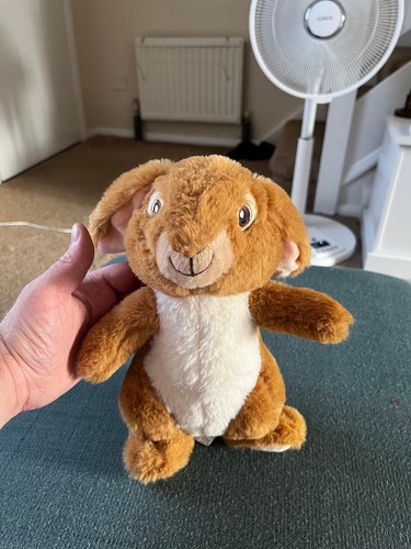 Benjamin bunny peter rabbit - -,