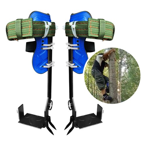 Gears tree climbing - gears,