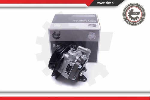 Servo pump esen skv 10skv294 - pump,