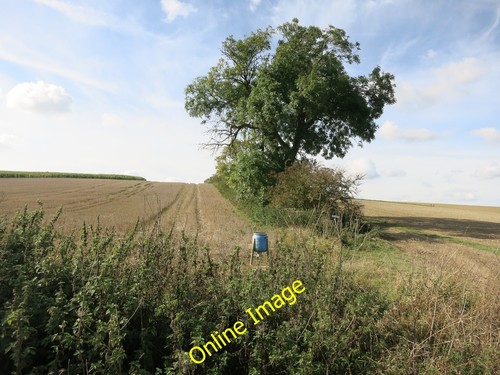 Photo 12x8 hedgerow - 12x8, and