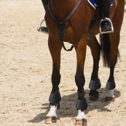 Horse feet guards hoof - horse,