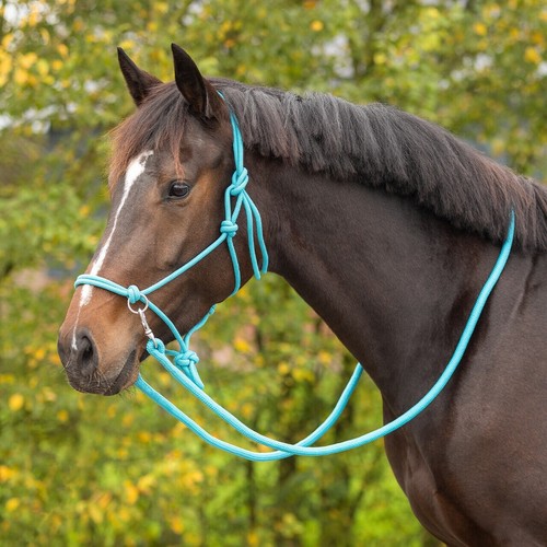 Qhp rope head collar with - qhp,