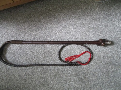Equestrian hunting hazel - ,
