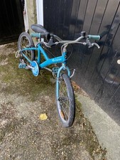 Unisex 20-inch Mountain Bike Kids Dolphin Inspired broken brake