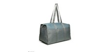 DSW sage duffle bag 