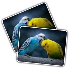 2x Vinyl Sticker Cute Budgie Couple Love Birds Parrot #52756