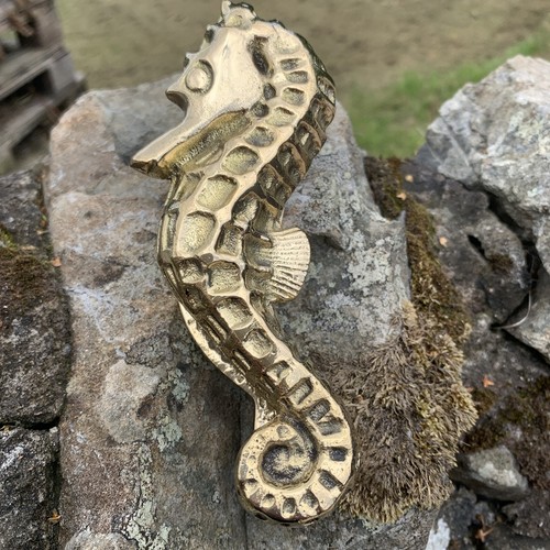 Seahorse door knocker solid - door,