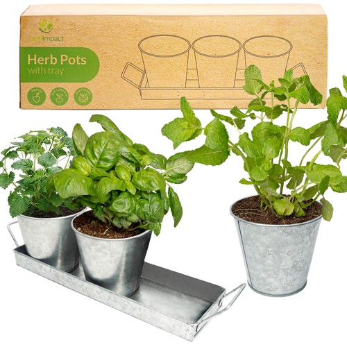 Herb planter indoor grow - herb,