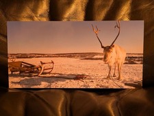 Visvim FW 08-09 Fall Winter