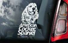 American Cocker Spaniel Car