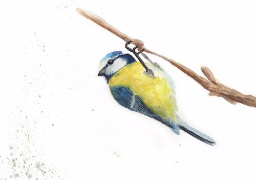 Blue tit original - blue, watercolour