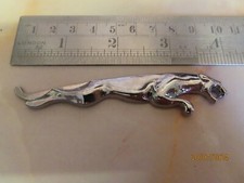 Jaguar Small leaping cat right