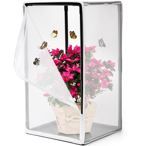 Outdoor insect butterfly - insect,
