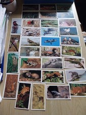 Grandee Cigar Cards Britain's