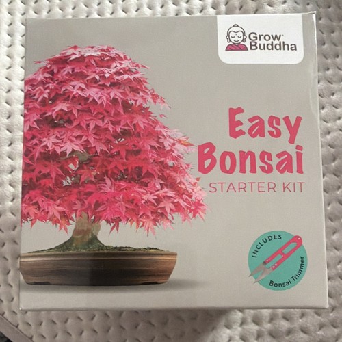 Grow buddha easy - buddha, bonsai