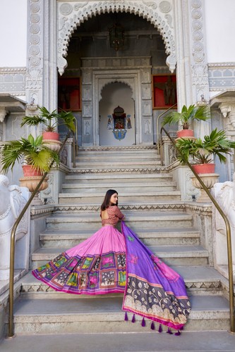Pakistani party lehenga sari - pakistani,