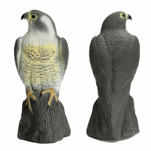 Large decoy falcon bird - decoy,