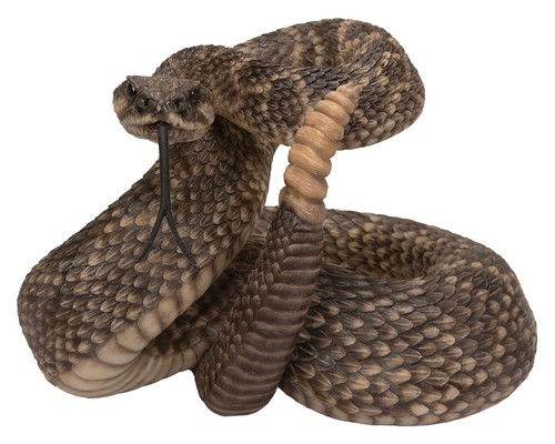Vivid arts rattlesnake - vivid,