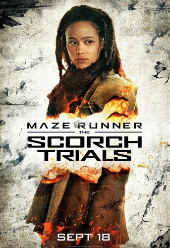 Maze runner the scorch trials - maze,