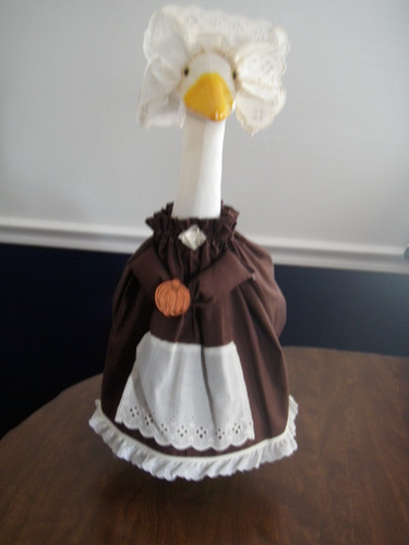 Goose clothes outfit fall - clothes,
