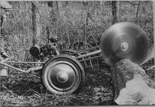 1950s man circular - man, saw