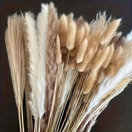 50pcs bohemian pampas grass - pampas,