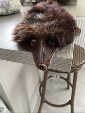 Vintage Dark Brown Fox Real Fur Stole Wrap Taxidermy Shawl