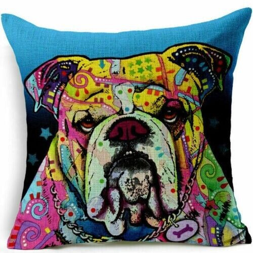 English bulldog mastiff - bulldog,