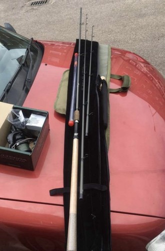Greys prodigy txl - greys,