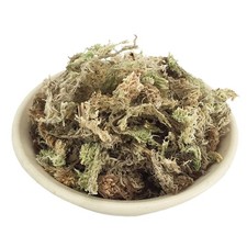 Sphagnum Moss Orchid Sphagnum