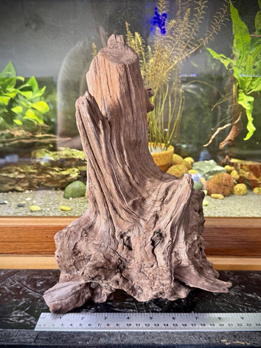 Aquarium driftwood root - driftwood,