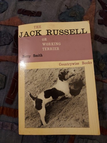 The jack russell working - jack,