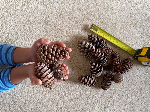 Pine cones for - , wreath