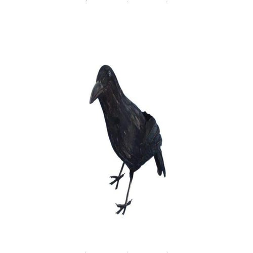 Smiffys crow black - smiffys,