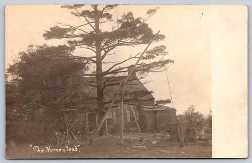 Vintage rppc the homestead - rppc,