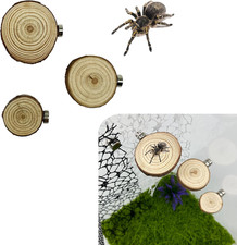 3 Pack Jumping Spider Ledges
