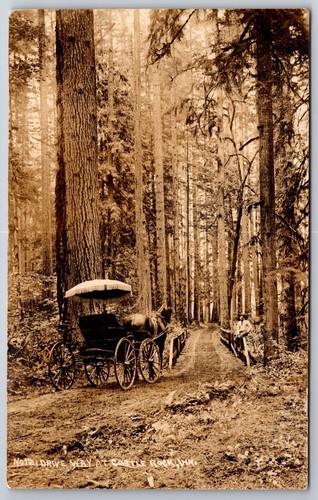 Castle rock driveway - castle,