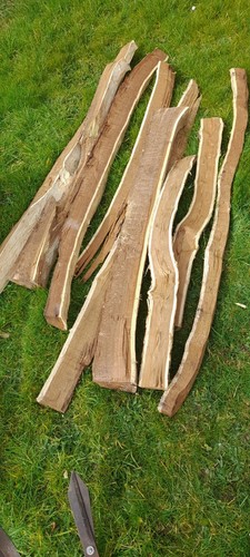 Laburnum bow staves cured for - bow, staves,